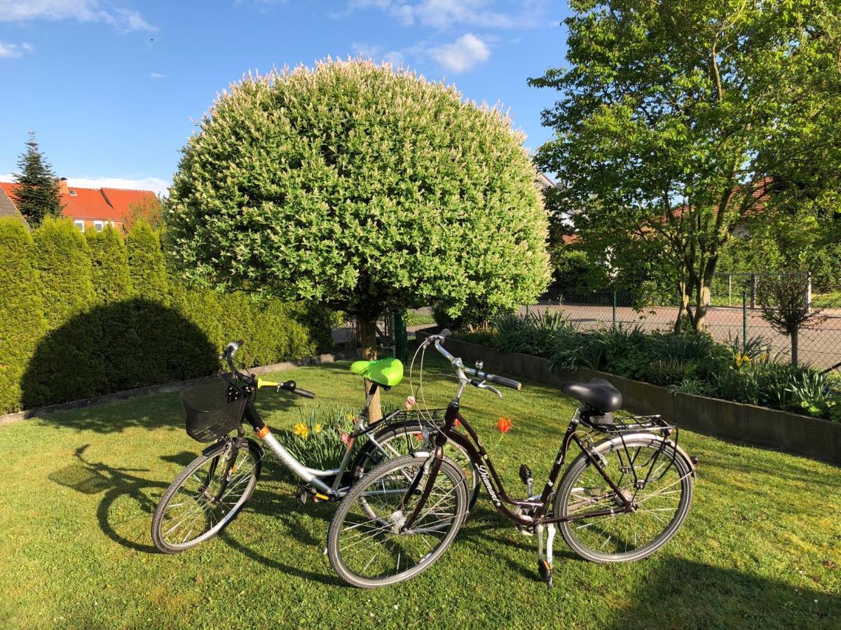 Ferienwohnung Hameln Direkt Am Weserradweg Hamelin Extérieur photo